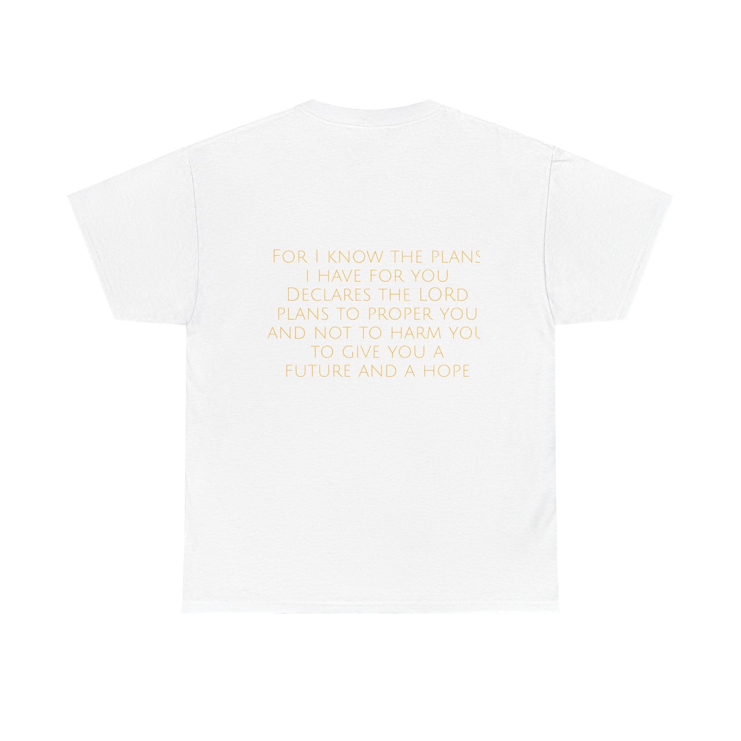 Jeremiah 29:11 Comfort Tee