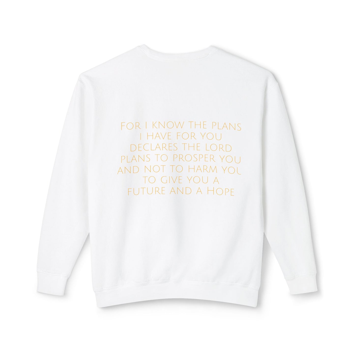 Jeremiah 29:11 Comfort Crewneck