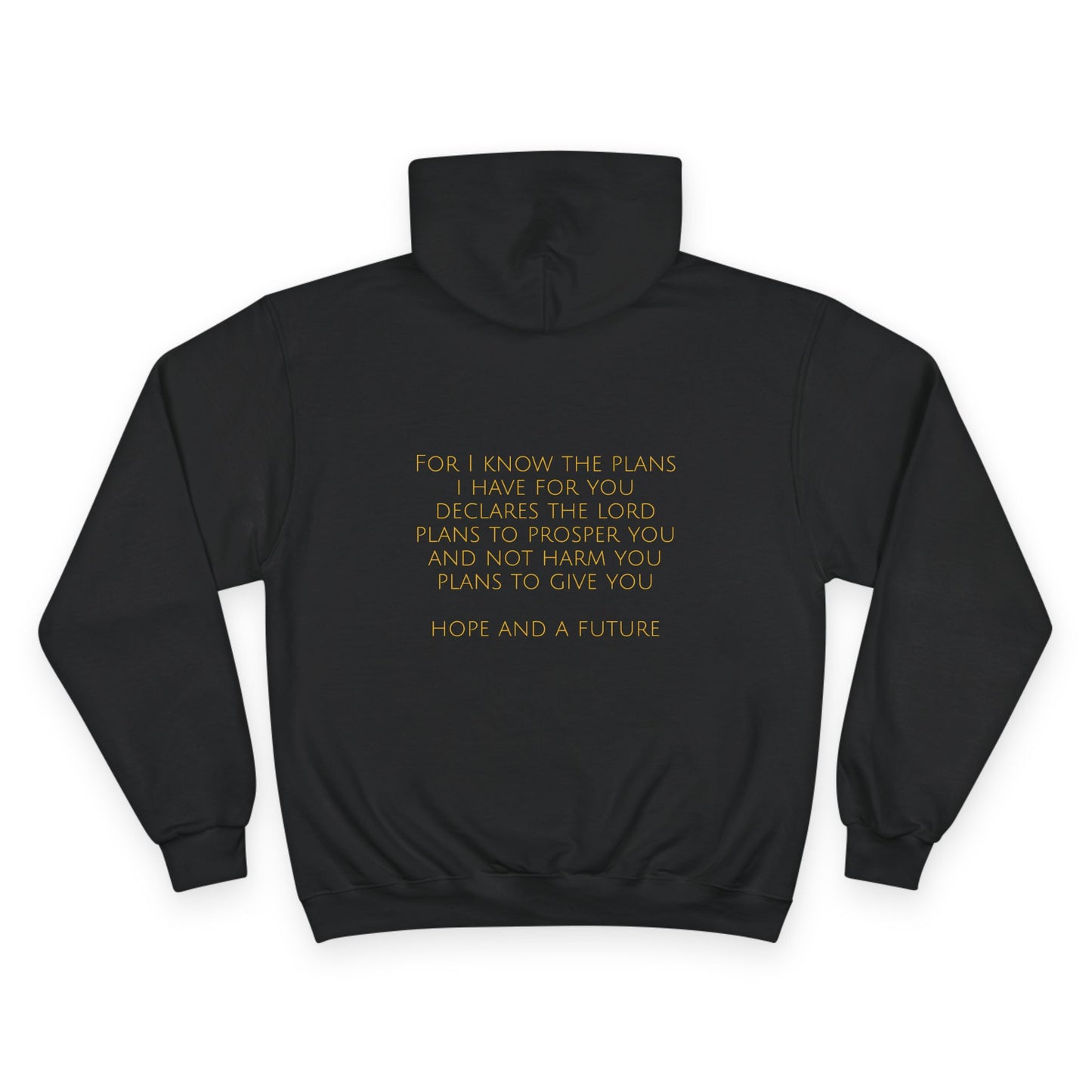 Jeremiah 29:11 Comfort Hoodie