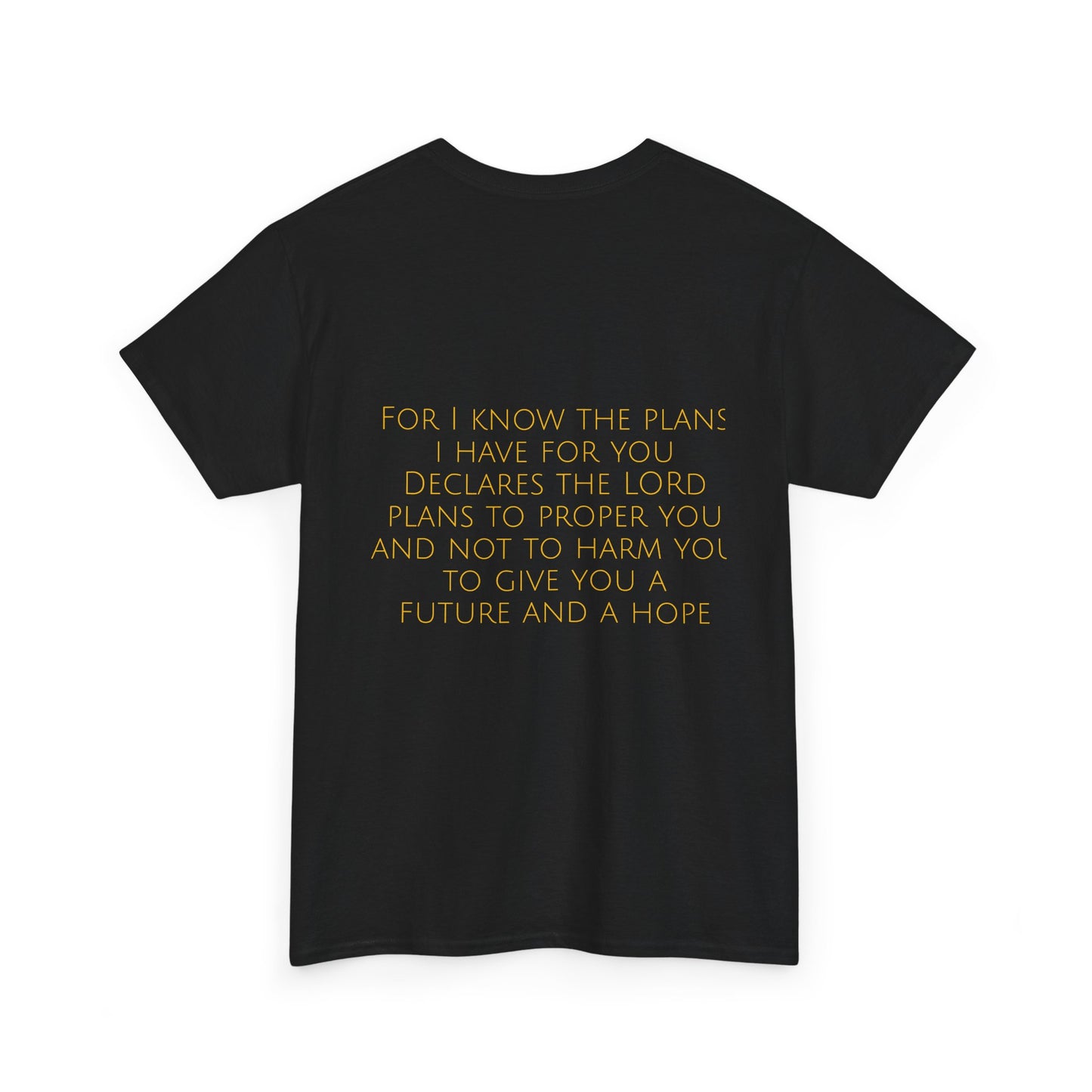 Jeremiah 29:11 Comfort Tee