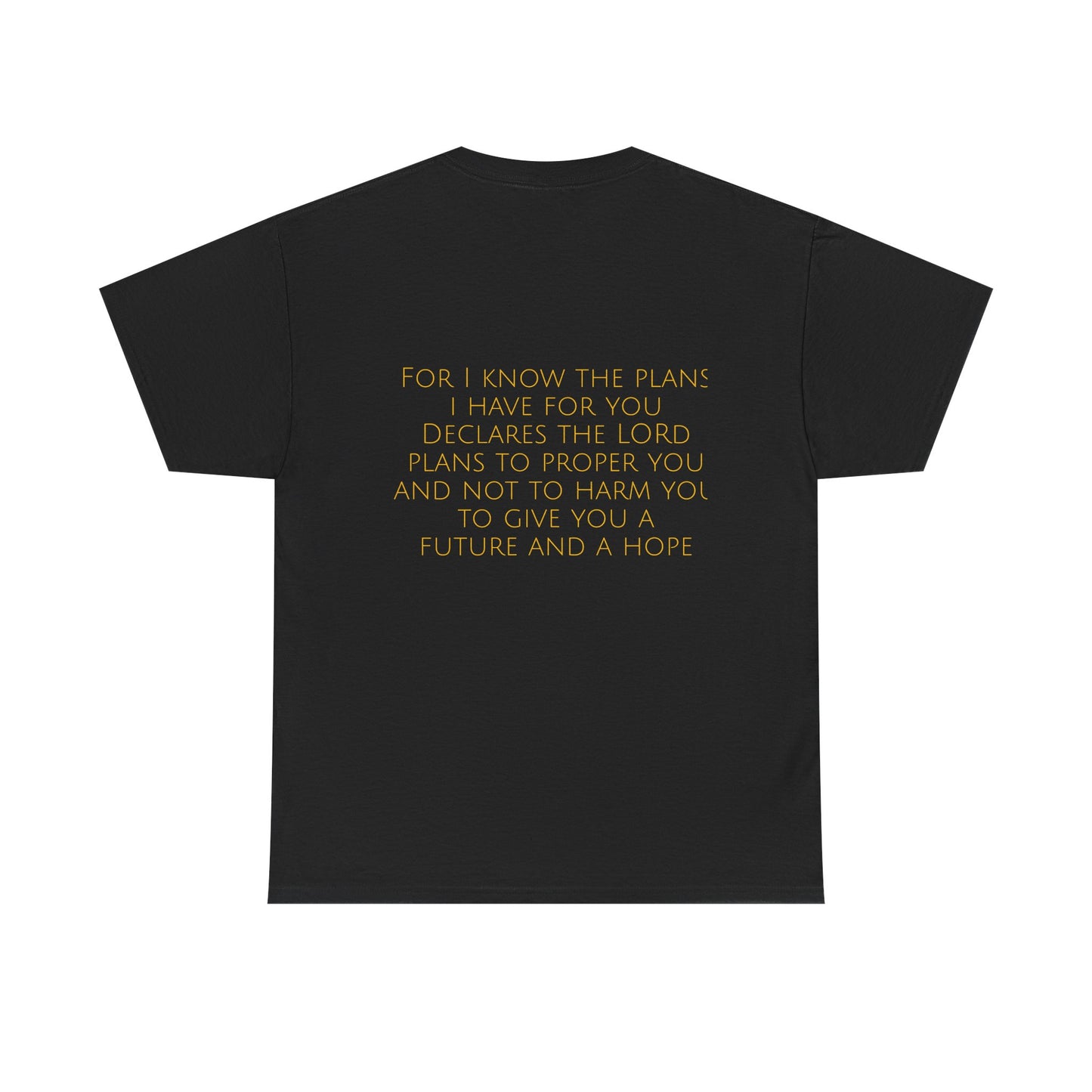 Jeremiah 29:11 Comfort Tee