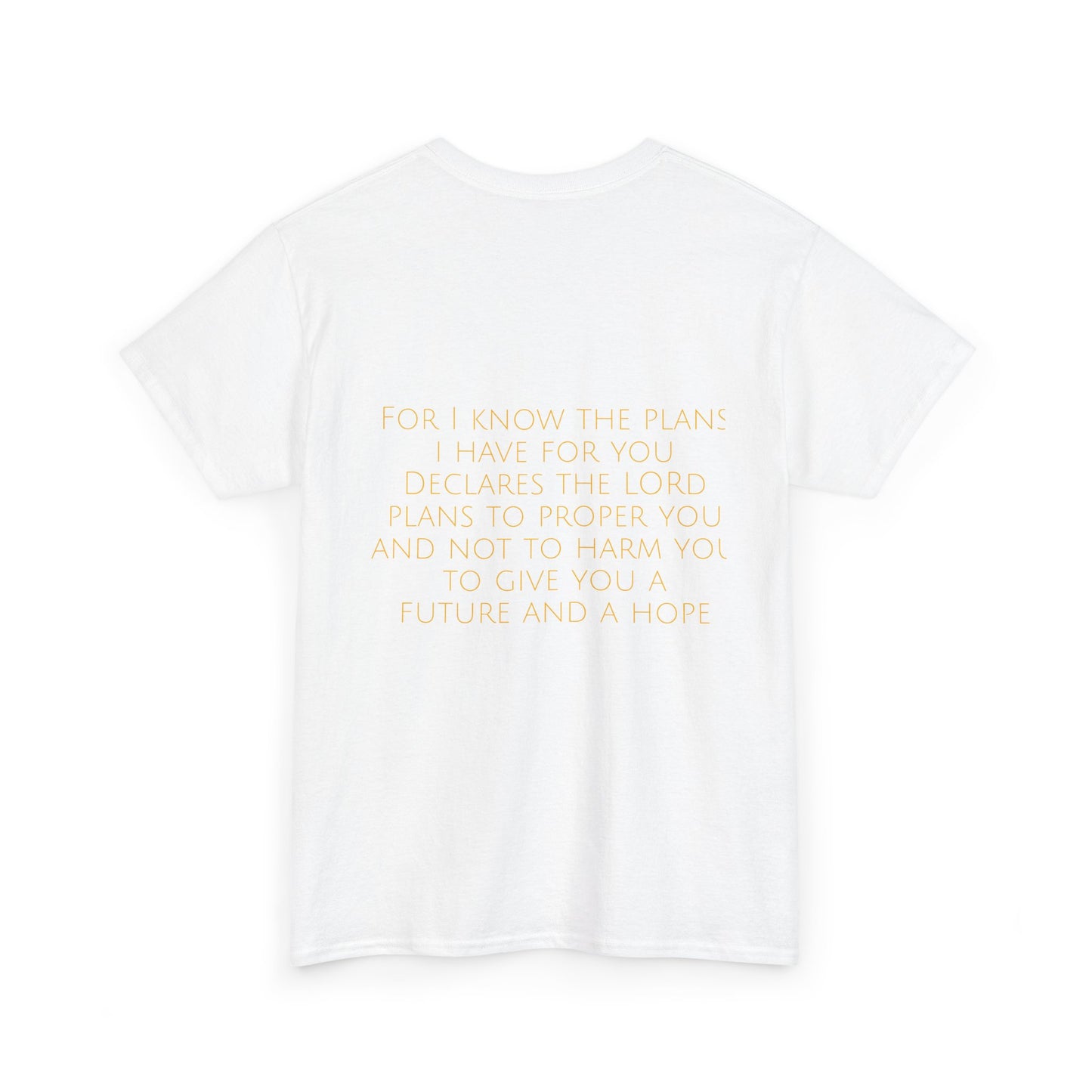 Jeremiah 29:11 Comfort Tee
